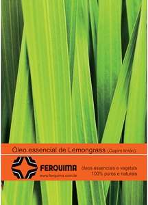Folder_20X15_lemongrass.cdr