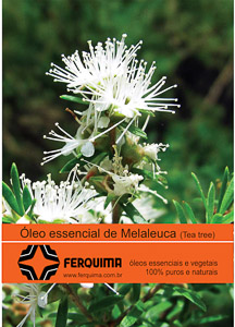 Folder_20X15_melaleuca.cdr