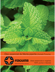 Folder_20X15_menta.cdr